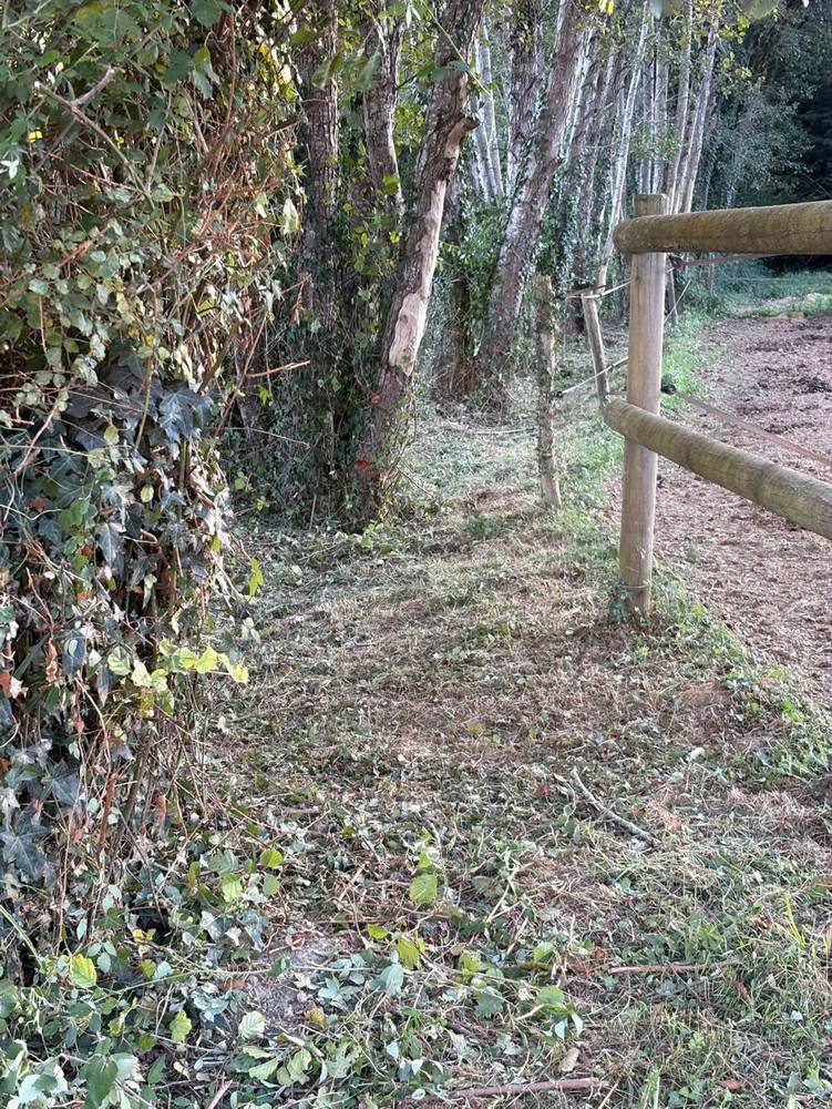 Le pied de la clôture nettoyé, sol dégagé le long de la haie.