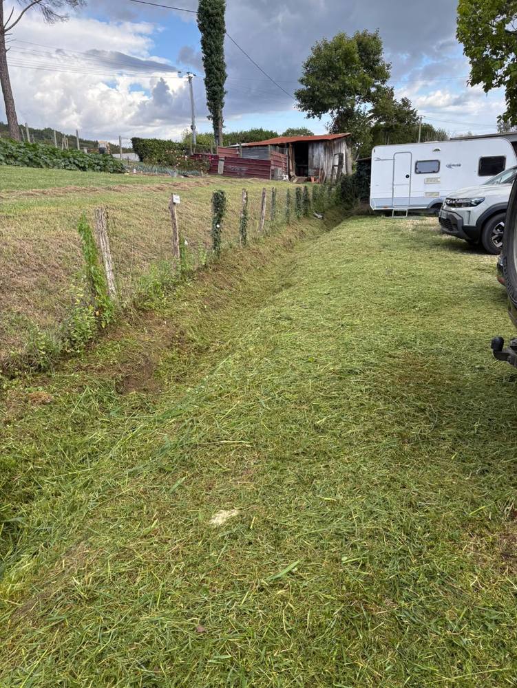 Fossé enherbé entièrement tondu le long d'une clôture, herbe coupée étalée au sol.