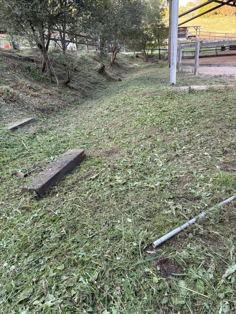 Talus et abords d'un manège équestre tondus, traverses en bois dégagées.