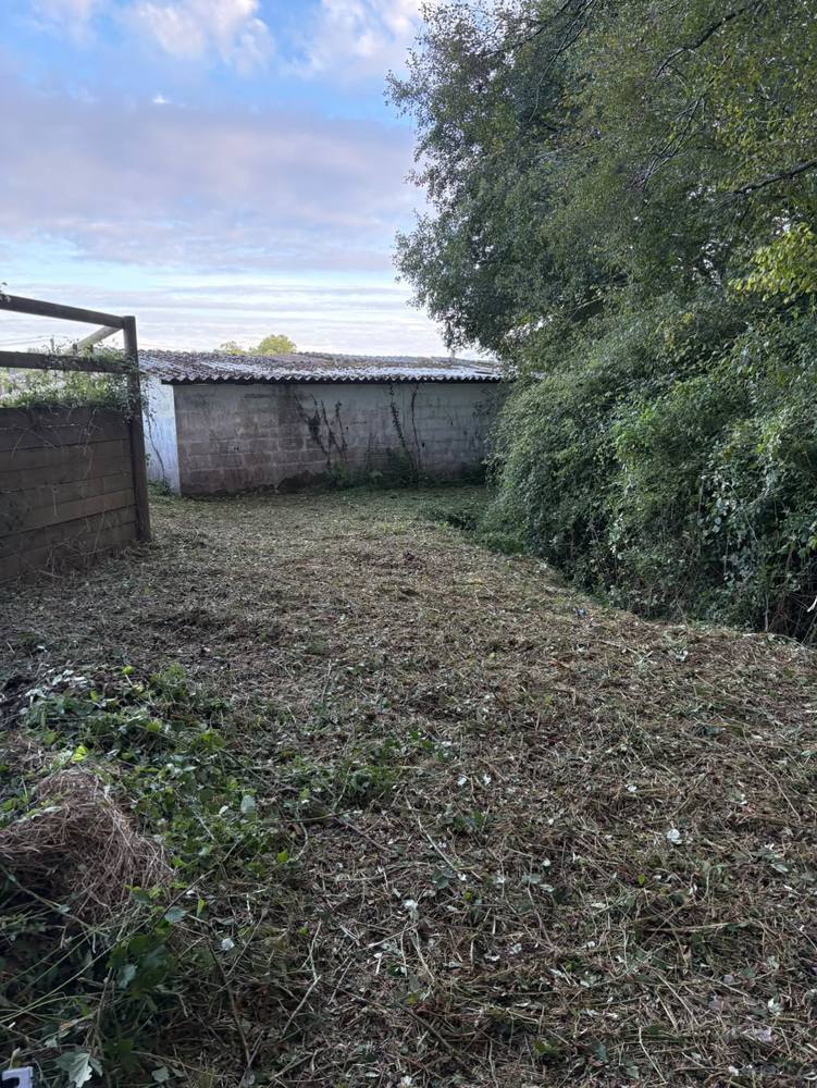 La bande dégagée jusqu'au mur en parpaing, végétation coupée étalée au sol.