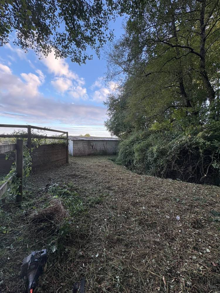Bande dégagée le long du mur en parpaing, vue depuis la palissade.